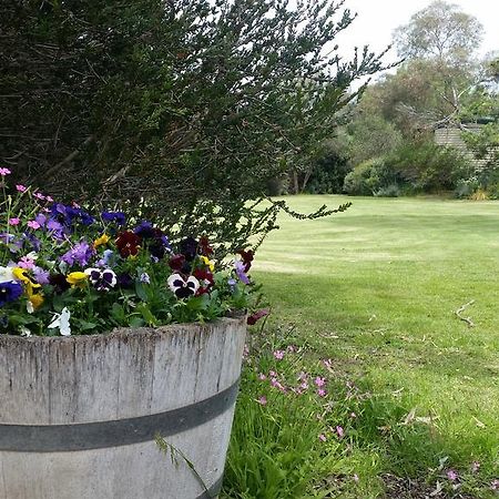 Padthaway Caravan Park Esterno foto