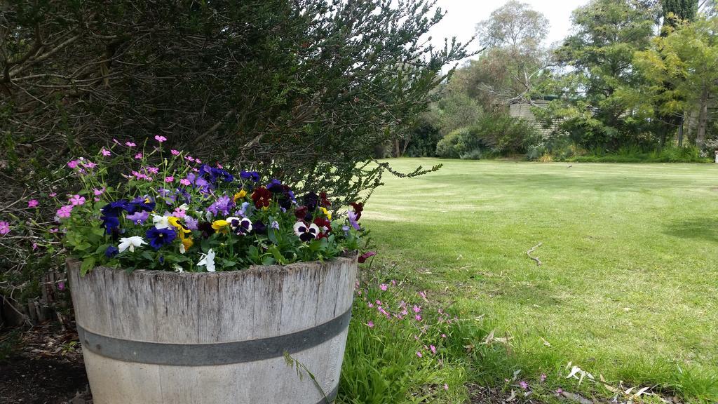Padthaway Caravan Park Esterno foto