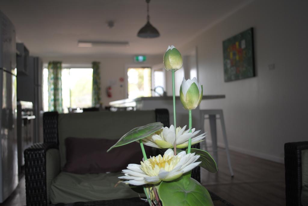 Padthaway Caravan Park Esterno foto
